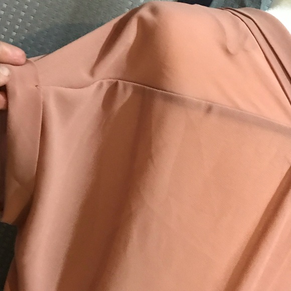 ❄️EUC❄️Oversized Rosé Dex Sheer Button Down Blouse - Picture 6 of 8